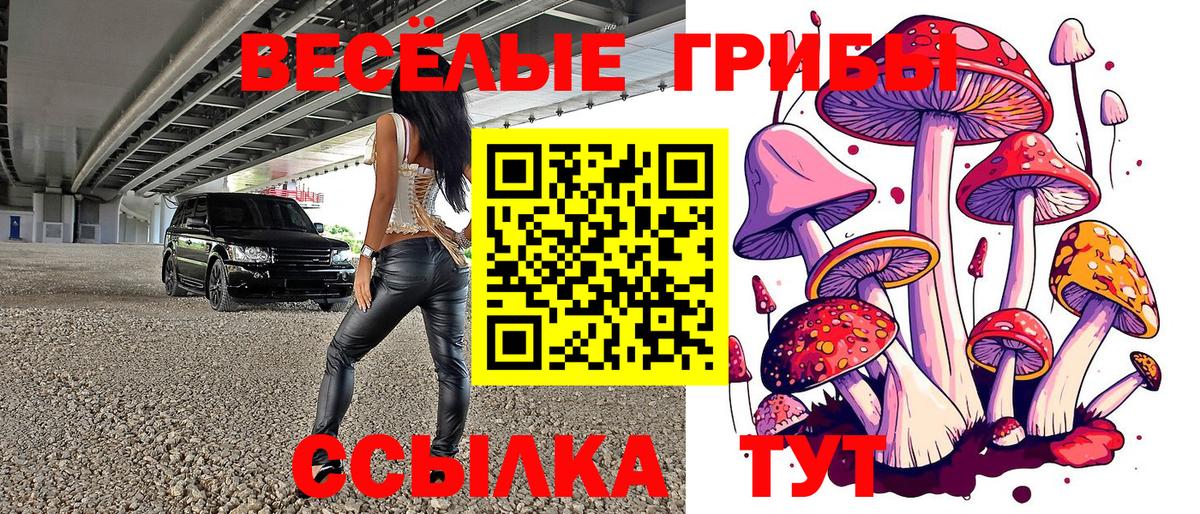 Псилоцибиновые грибы Psilocybe Дедовск